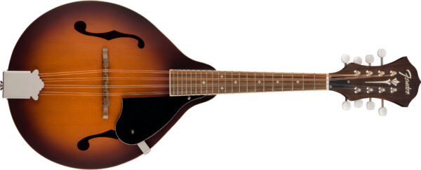 PM-180E Mandolin