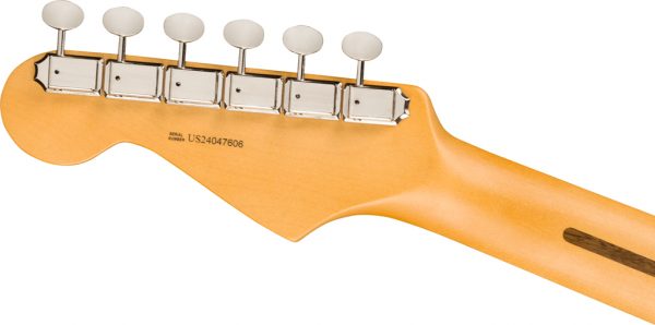 American Professional Classic Stratocaster® Electric Guitar - Faded Black - Image 7
